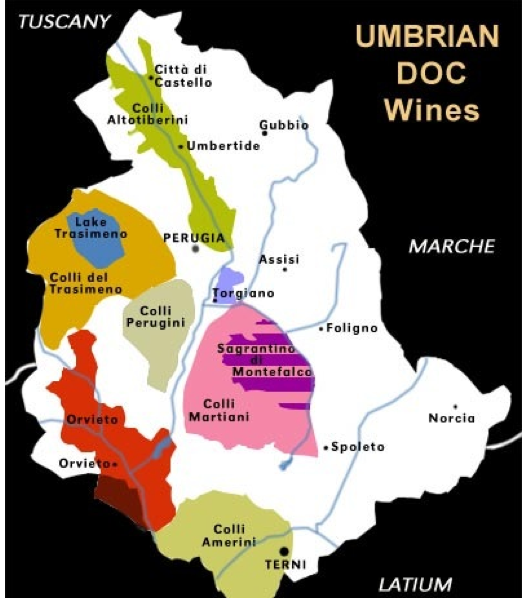 DOC_wines